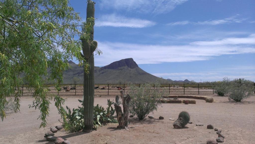 White Stallion Ranch Tucson Exterior photo
