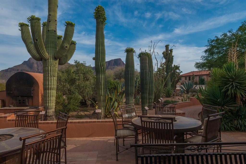 White Stallion Ranch Tucson Exterior photo