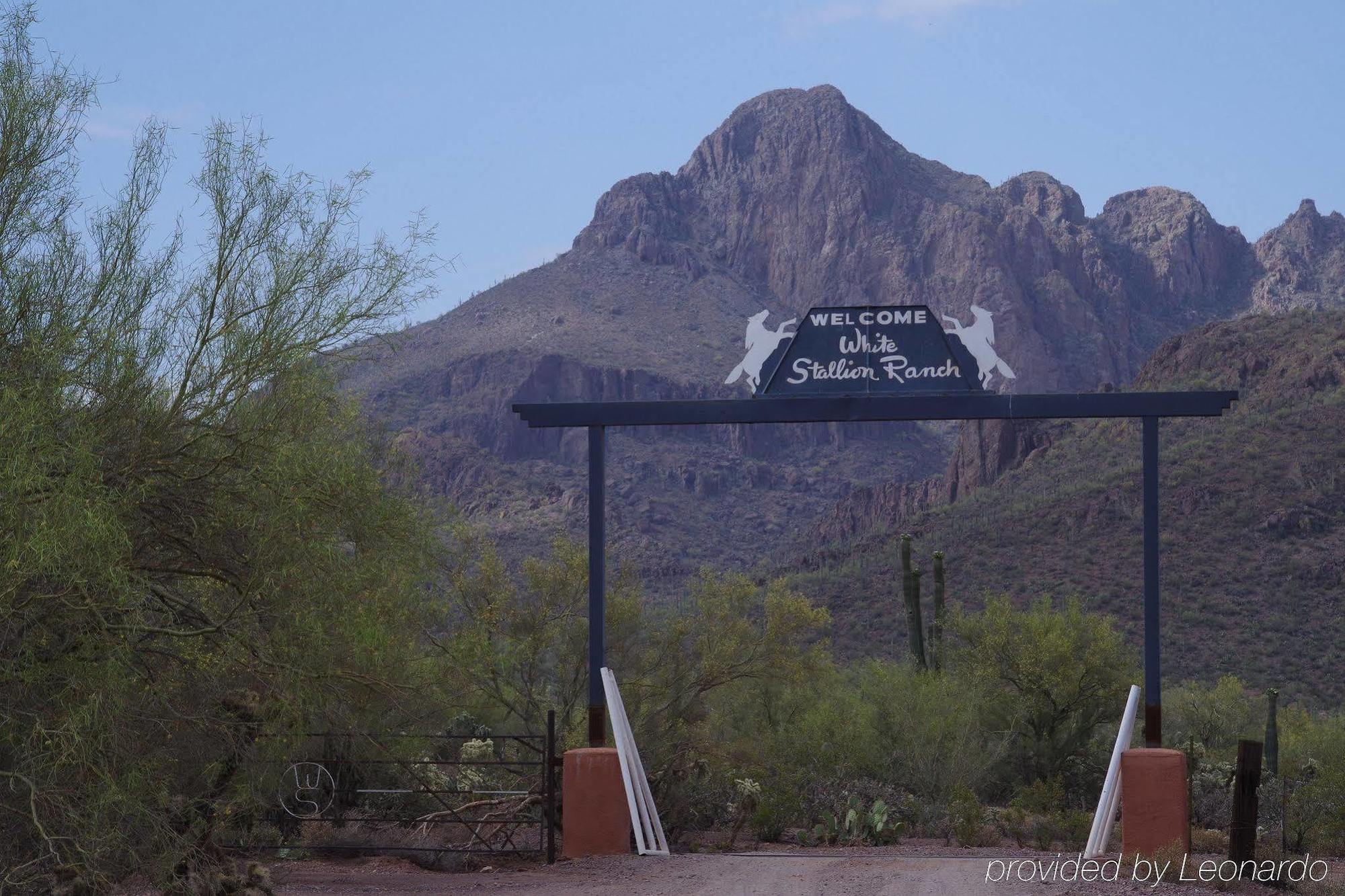 White Stallion Ranch Tucson Exterior photo