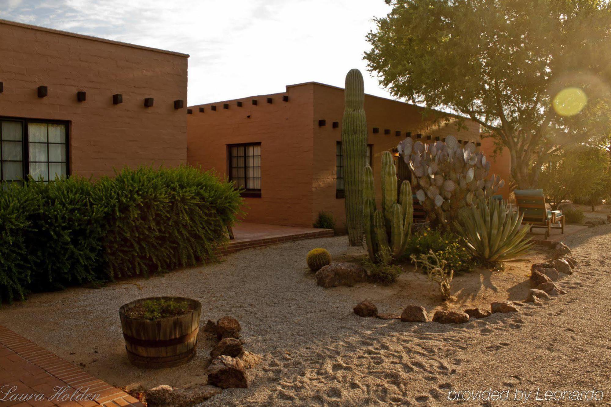 White Stallion Ranch Tucson Exterior photo