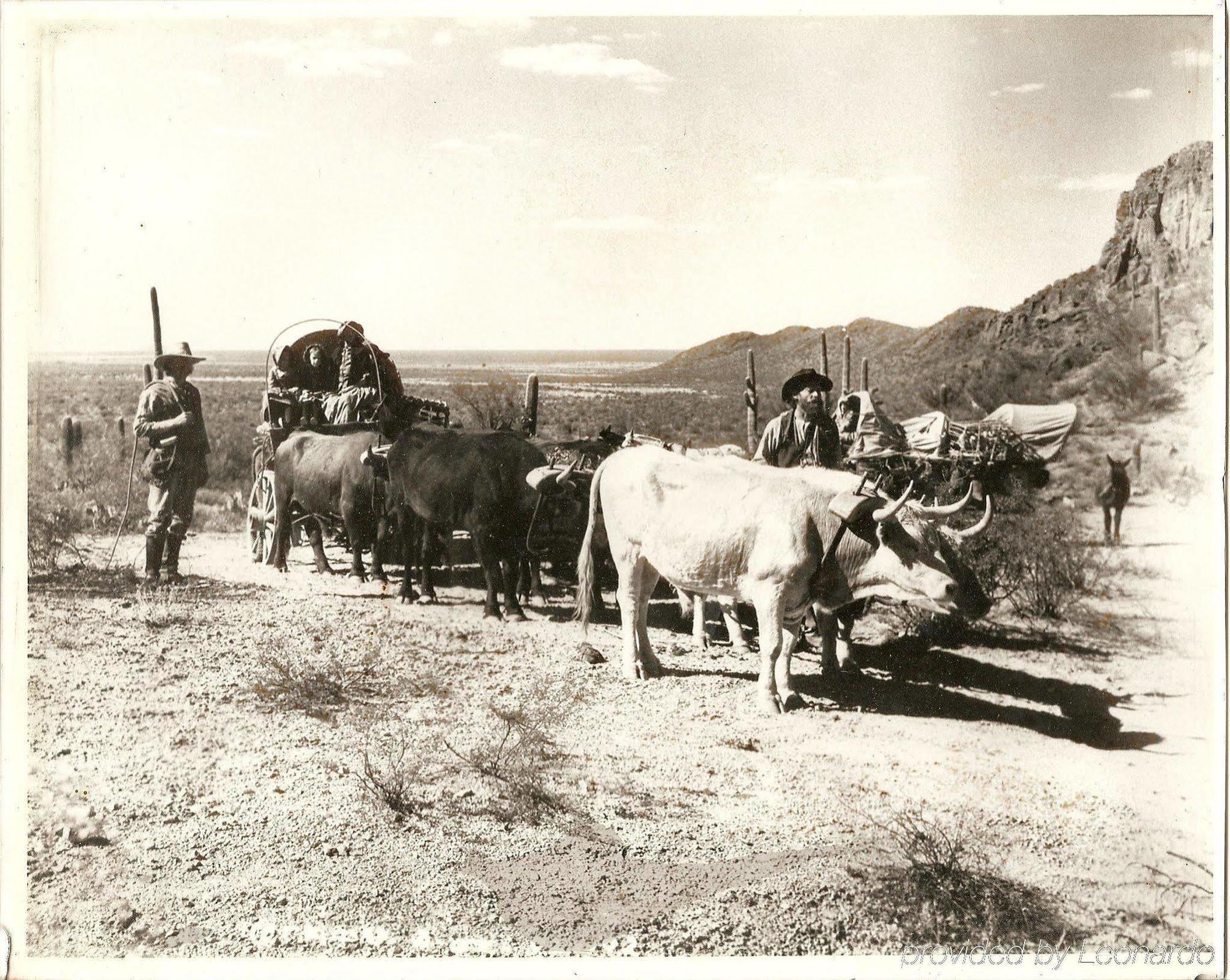 White Stallion Ranch Tucson Exterior photo