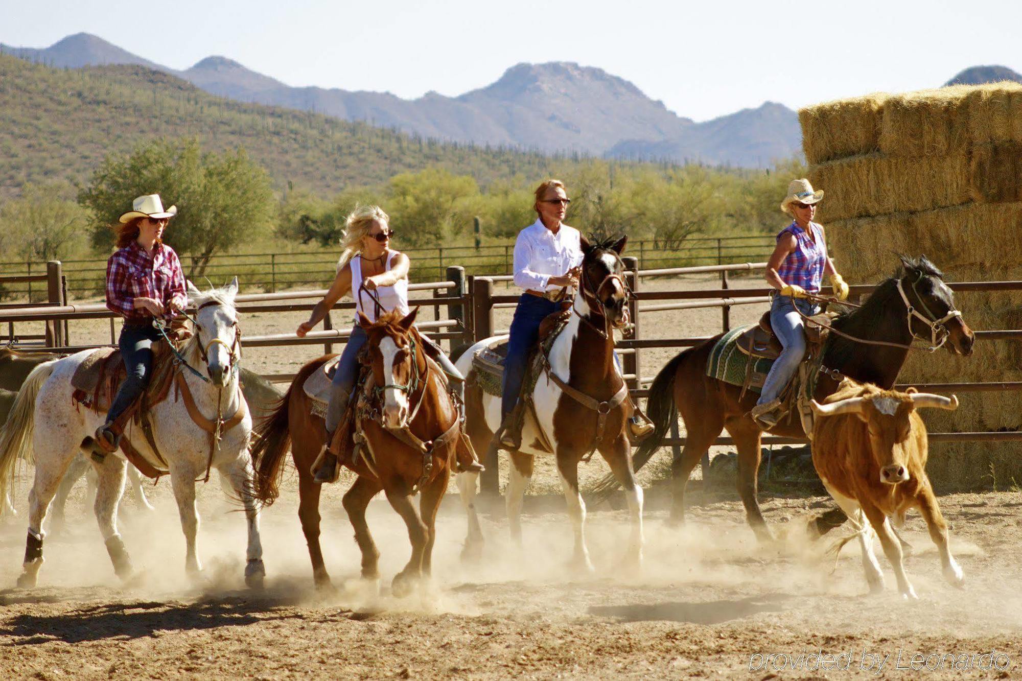 White Stallion Ranch Tucson Exterior photo