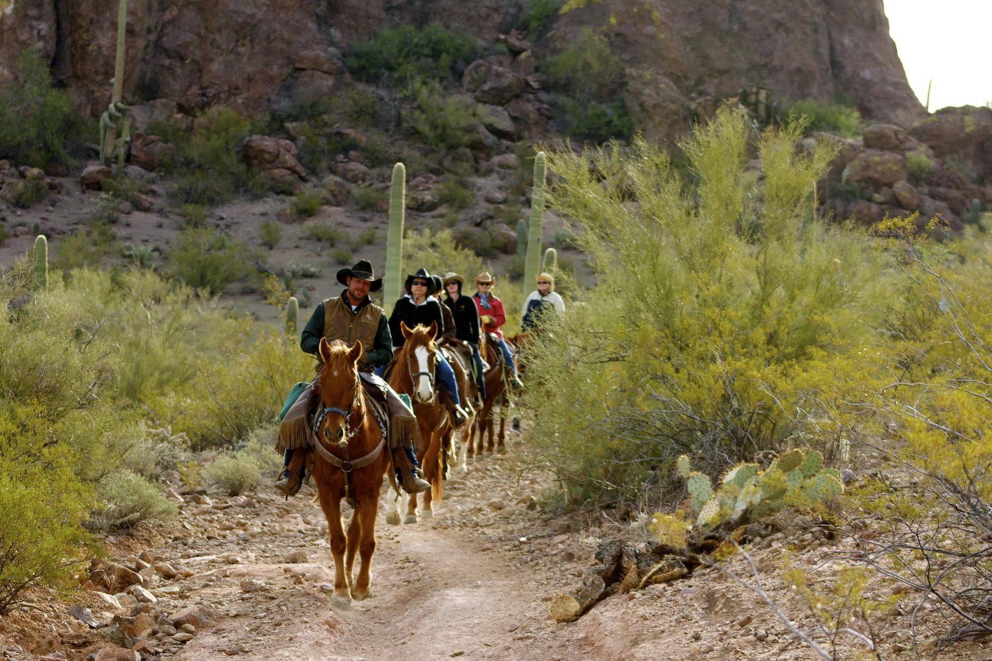 White Stallion Ranch Tucson Exterior photo